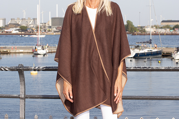 12413 Poncho Brown